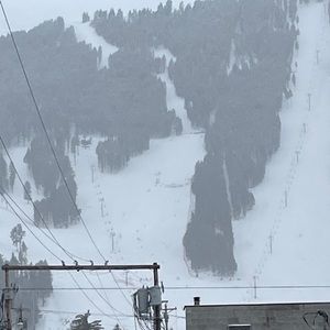 Meet your Posher, Candice